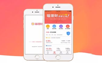 龙龙理财,APP软件案例分享